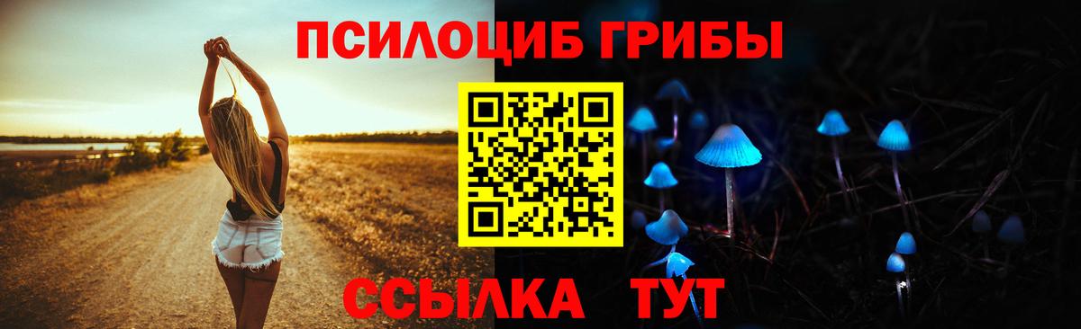 Псилоцибиновые грибы Psilocybine cubensis  Вход с VPN  Луховицы 